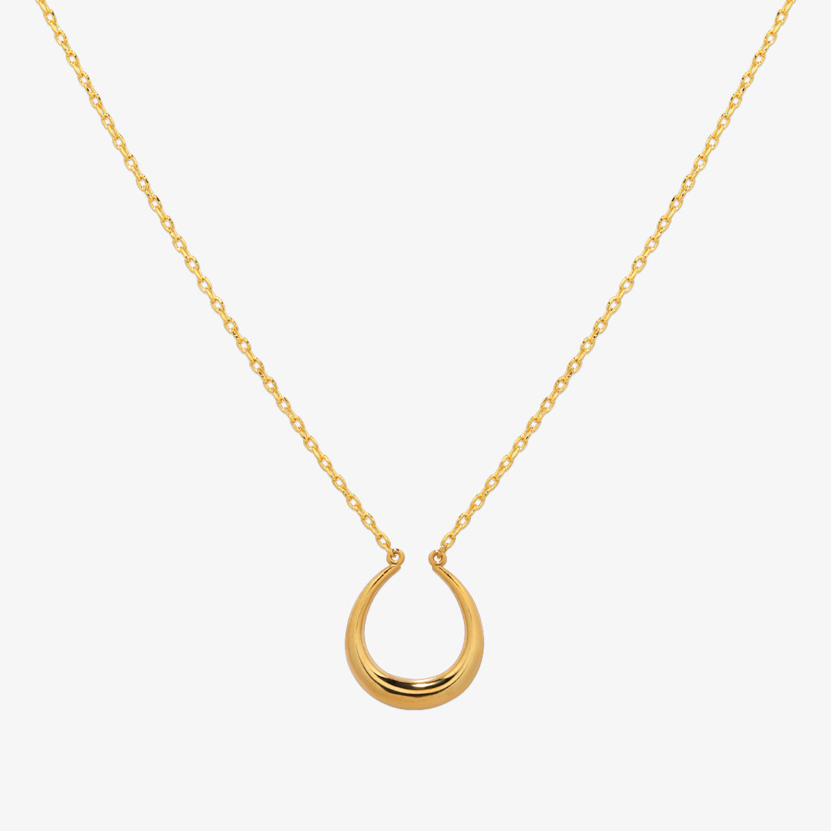 Horseshoe style necklace